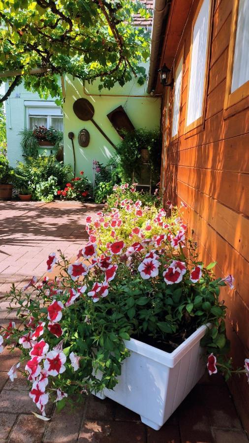 Ópusztaszeri Mózes Vendégház Esterno foto